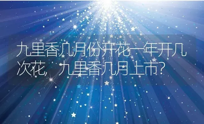 九里香几月份开花一年开几次花,九里香几月上市？ | 养殖科普