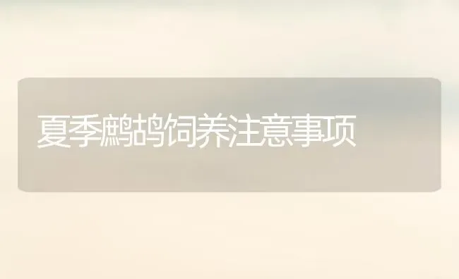 夏季鹧鸪饲养注意事项 | 养殖技术大全