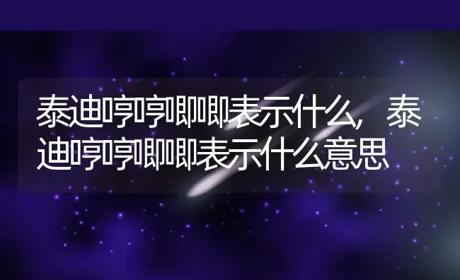 泰迪哼哼唧唧表示什么,泰迪哼哼唧唧表示什么意思 | 养殖资料