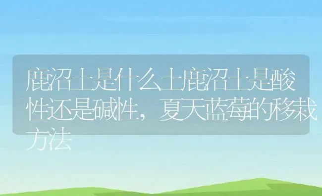 阿根廷说什么语言,阿根廷母语是什么 | 养殖学堂