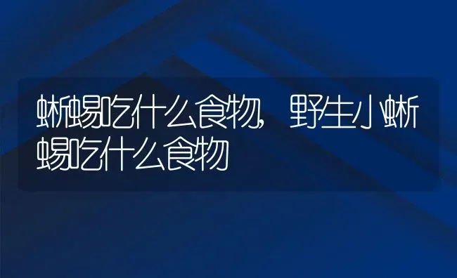 蜥蜴吃什么食物,野生小蜥蜴吃什么食物 | 养殖科普