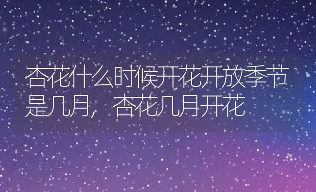 杏花什么时候开花开放季节是几月,杏花几月开花 | 养殖学堂