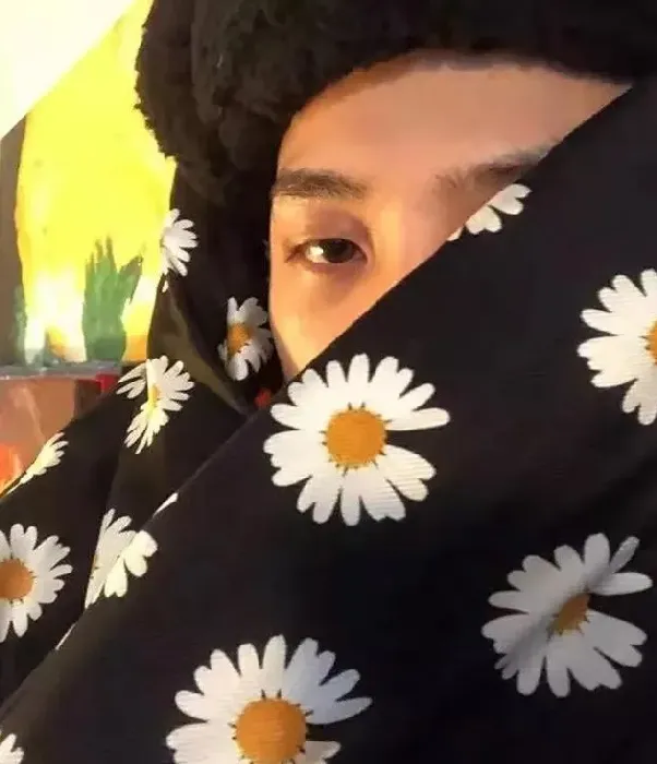 权志龙喜欢雏菊是因为水原吗,权志龙为什么喜欢雏菊？