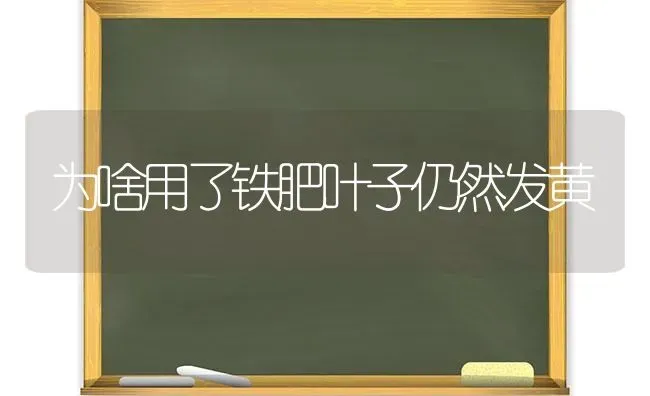 为啥用了铁肥叶子仍然发黄 | 养殖知识