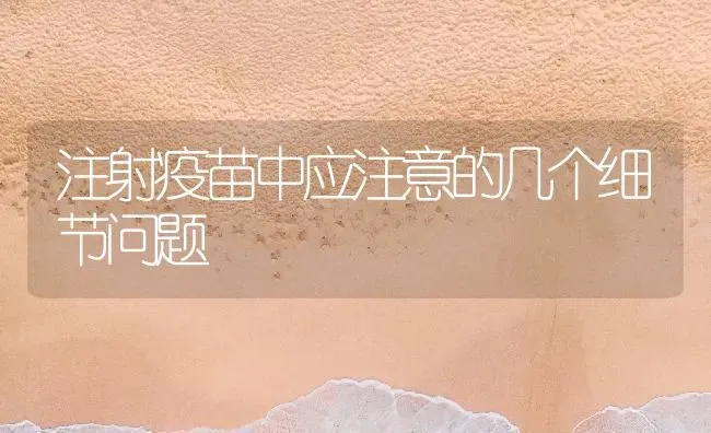 注射疫苗中应注意的几个细节问题 | 养殖技术大全