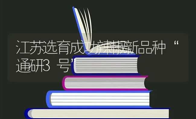 江苏选育成功辣椒新品种“通研3号” | 养殖知识