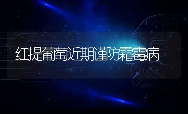 怎样提高稻田肥效 | 养殖技术大全