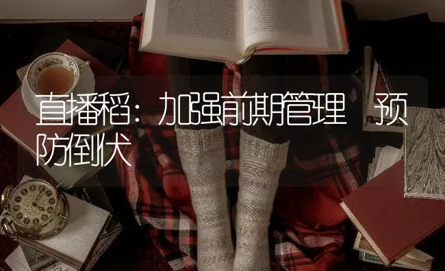 直播稻：加强前期管理 预防倒伏 | 养殖知识