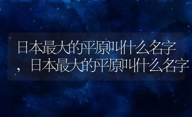 日本最大的平原叫什么名字,日本最大的平原叫什么名字 | 养殖科普