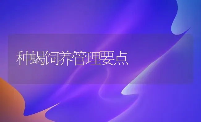 种蝎饲养管理要点 | 养殖知识