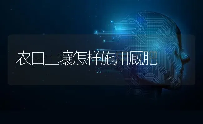 农田土壤怎样施用厩肥 | 养殖技术大全