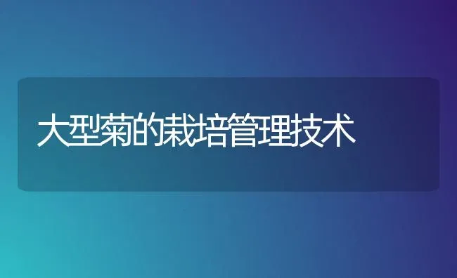 大型菊的栽培管理技术 | 养殖技术大全