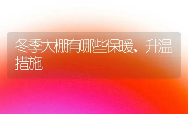 冬季大棚有哪些保暖、升温措施 | 养殖技术大全