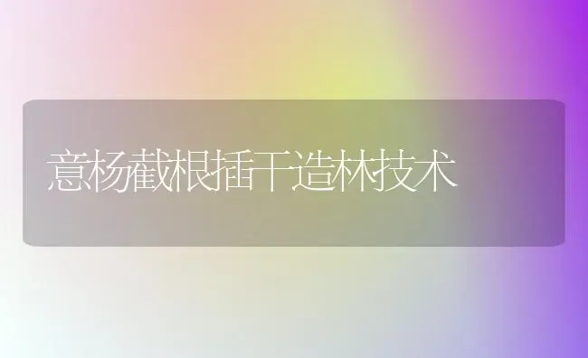 意杨截根插干造林技术 | 养殖技术大全