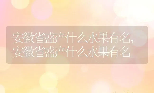 安徽省盛产什么水果有名,安徽省盛产什么水果有名 | 养殖科普