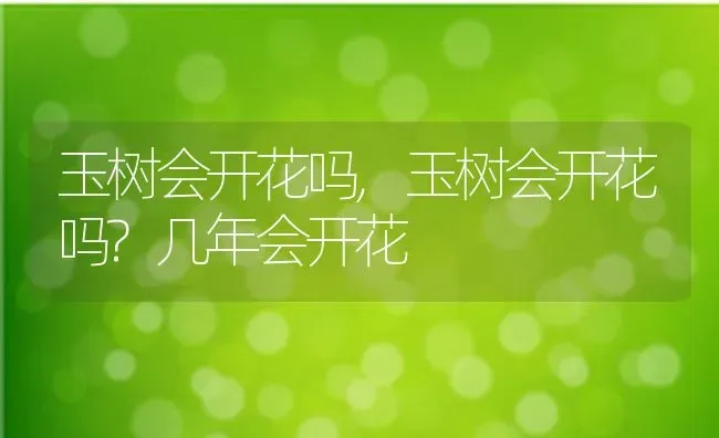 玉树会开花吗,玉树会开花吗?几年会开花 | 养殖科普