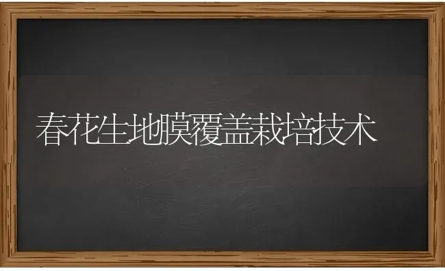 春花生地膜覆盖栽培技术 | 养殖技术大全