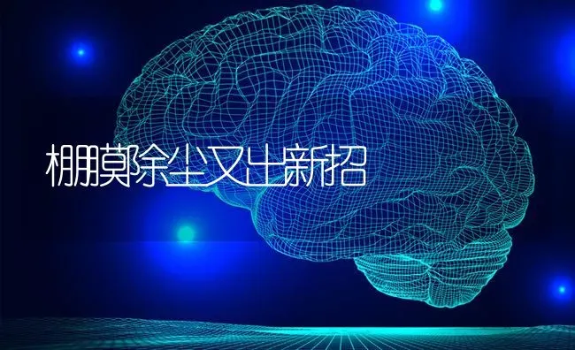 棚膜除尘又出新招 | 养殖知识