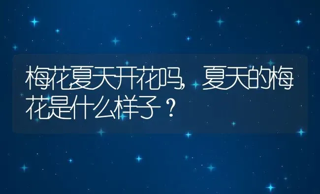 梅花夏天开花吗,夏天的梅花是什么样子？ | 养殖科普