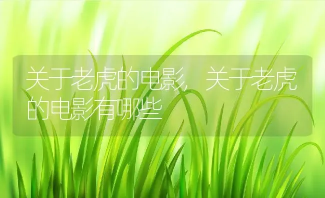 关于老虎的电影,关于老虎的电影有哪些 | 养殖资料