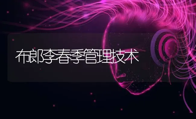 布郎李春季管理技术 | 养殖技术大全