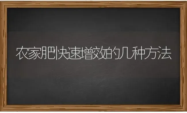 农家肥快速增效的几种方法 | 养殖知识