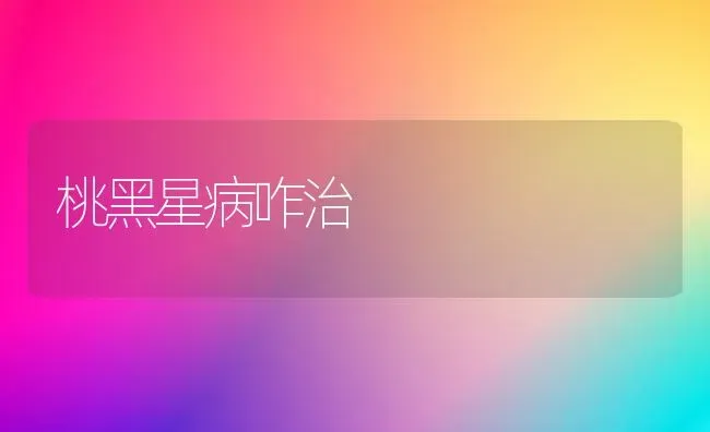 桃黑星病咋治 | 养殖技术大全