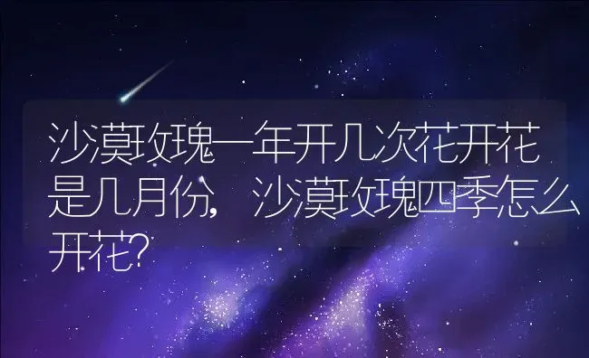 沙漠玫瑰一年开几次花开花是几月份,沙漠玫瑰四季怎么开花？ | 养殖科普