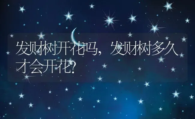 发财树开花吗,发财树多久才会开花？ | 养殖科普