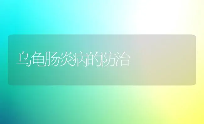 乌龟肠炎病的防治 | 养殖技术大全