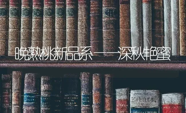 晚熟桃新品系——深秋艳蜜 | 养殖知识