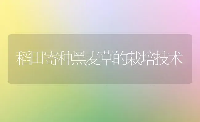 稻田寄种黑麦草的栽培技术 | 养殖技术大全