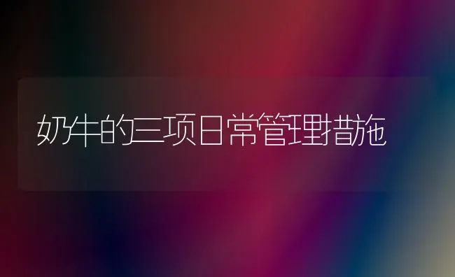 奶牛的三项日常管理措施 | 养殖技术大全