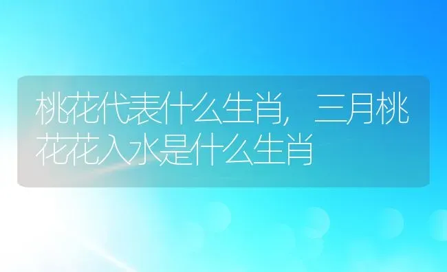 桃花代表什么生肖,三月桃花花入水是什么生肖 | 养殖学堂