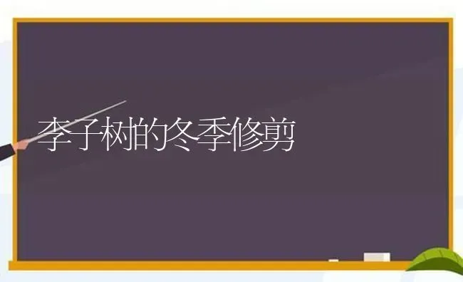 李子树的冬季修剪 | 养殖知识