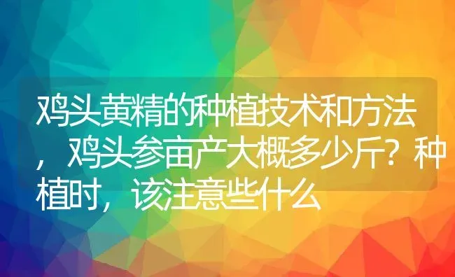 鸡头黄精的种植技术和方法,鸡头参亩产大概多少斤？种植时，该注意些什么 | 养殖学堂