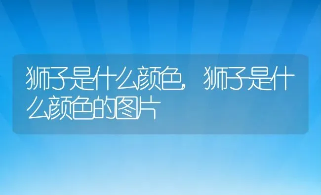 玄凤鹦鹉怎么养,玄凤鹦鹉怎么养才亲人 | 养殖科普