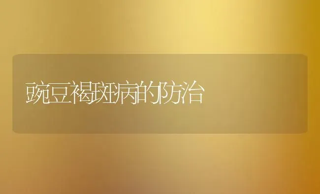 豌豆褐斑病的防治 | 养殖知识