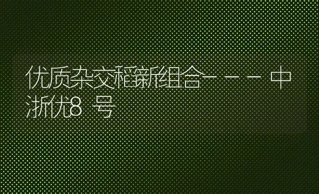 优质杂交稻新组合---中浙优8号 | 养殖技术大全