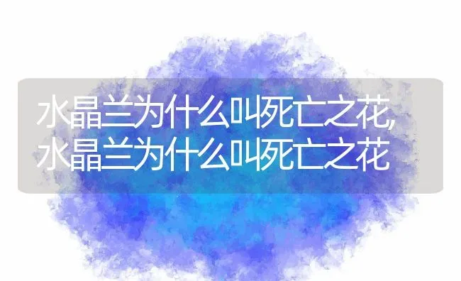 水晶兰为什么叫死亡之花,水晶兰为什么叫死亡之花 | 养殖科普