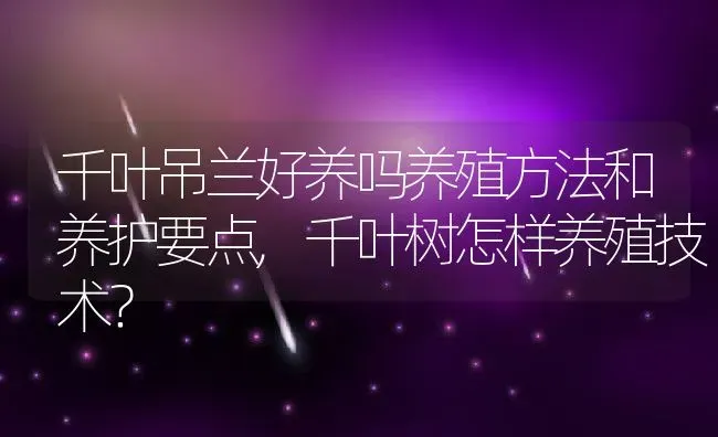 千叶吊兰好养吗养殖方法和养护要点,千叶树怎样养殖技术？ | 养殖科普