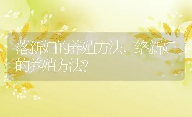 落新妇的养殖方法,络新妇的养殖方法？ | 养殖科普