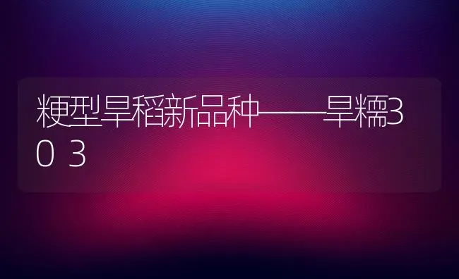 粳型旱稻新品种——旱糥303 | 养殖知识