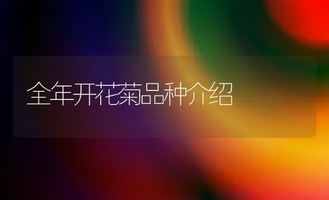全年开花菊品种介绍 | 养殖技术大全
