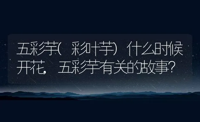 哈士奇和阿拉斯加的区别,哈士奇和阿拉斯加的区别图片 | 养殖科普