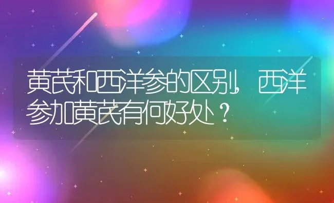 黄芪和西洋参的区别,西洋参加黄芪有何好处？ | 养殖科普