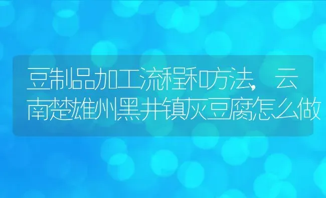 豆制品加工流程和方法,云南楚雄州黑井镇灰豆腐怎么做 | 养殖学堂