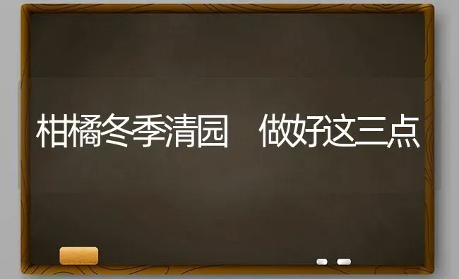 柑橘冬季清园 做好这三点 | 养殖技术大全