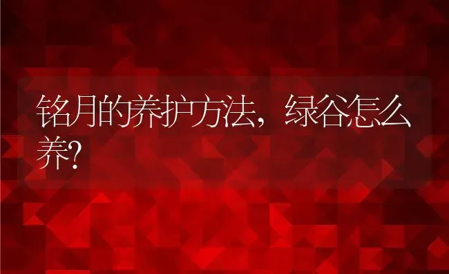 铭月的养护方法,绿谷怎么养？ | 养殖科普