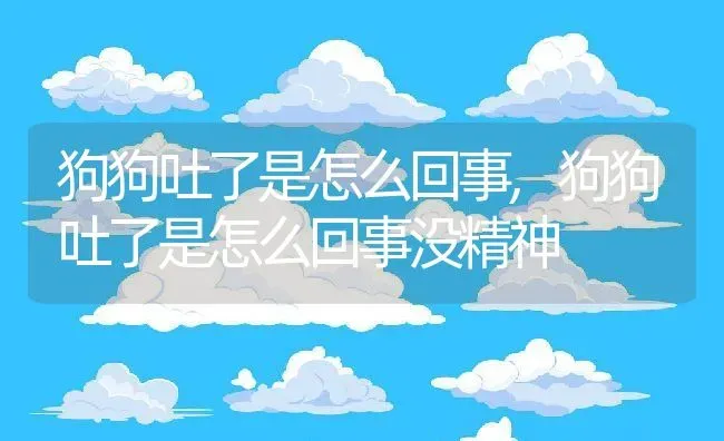 狗狗吐了是怎么回事,狗狗吐了是怎么回事没精神 | 养殖科普